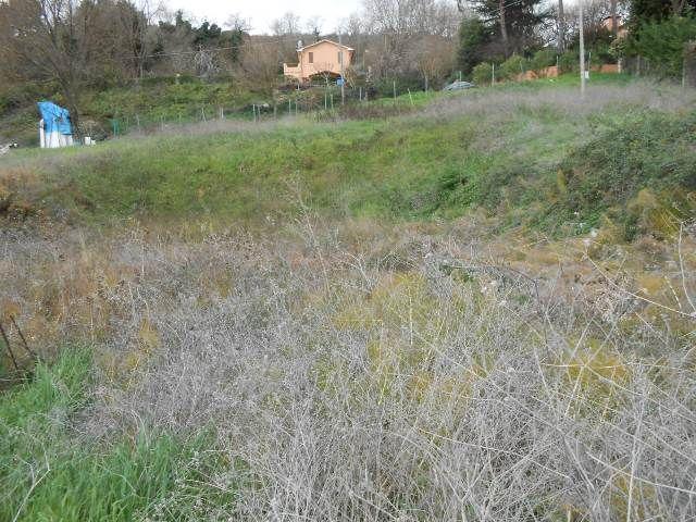 3546 - TERRENO AGRICOLO VENDITA FALCONARA MARITTIMA ZONA MONTESICURO - € 18.000 10