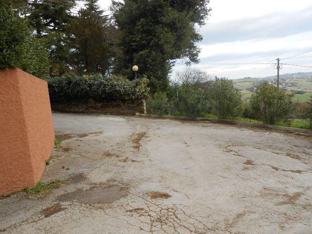 3546 - TERRENO AGRICOLO VENDITA FALCONARA MARITTIMA ZONA MONTESICURO - € 18.000 5