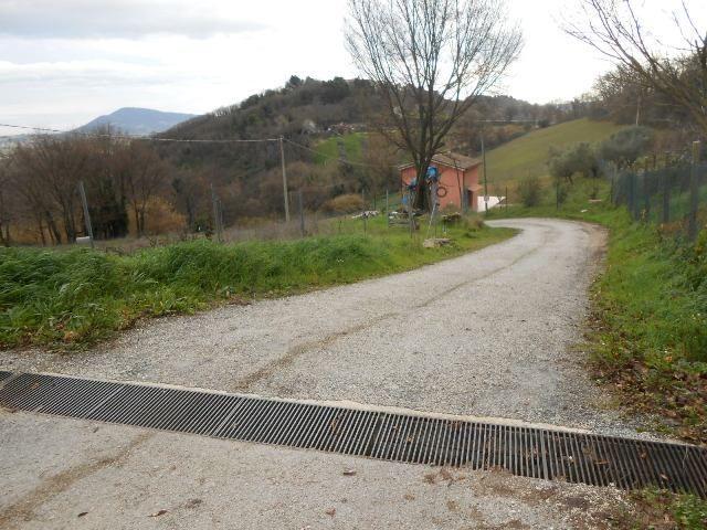 3546 - TERRENO AGRICOLO VENDITA FALCONARA MARITTIMA ZONA MONTESICURO - € 18.000 6