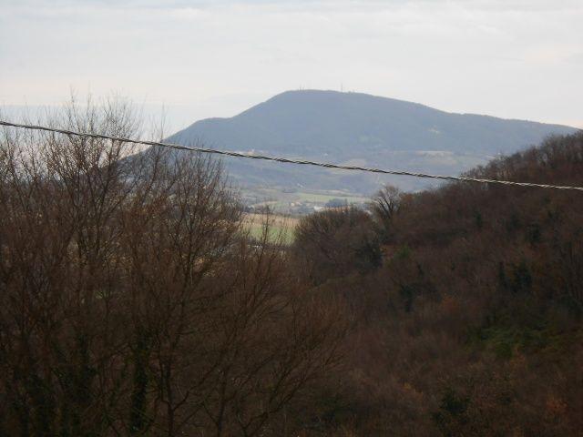 3546 - TERRENO AGRICOLO VENDITA FALCONARA MARITTIMA ZONA MONTESICURO - € 18.000 8